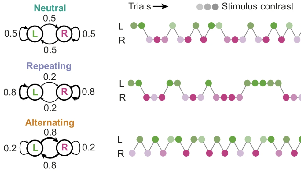 temporal_regularities.png